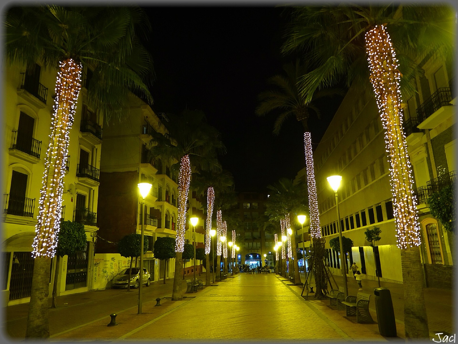 Calle peatonal del centro de Huelva con las palmeras envueltas en luces de Navidad, de noche