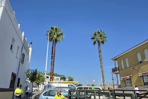 Image for the story: Aljaraque reinforces the maintenance of its green areas and renews the grass in the Parque de la Solidaridad