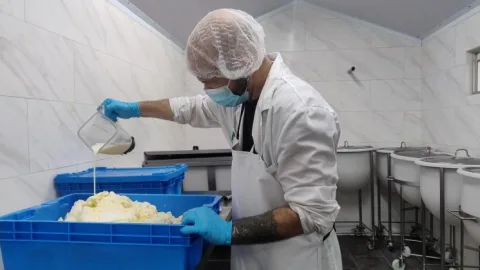 Image for the story: Students of Maestro Quesero 4.0 complete internships at cheese dairies in six countries and regions