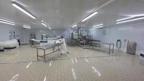 Image for the story: Students of Maestro Quesero 4.0 complete internships at cheese dairies in six countries and regions