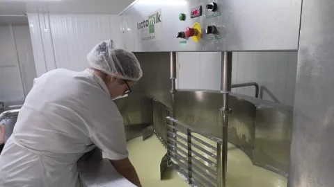 Image for the story: Students of Maestro Quesero 4.0 complete internships at cheese dairies in six countries and regions