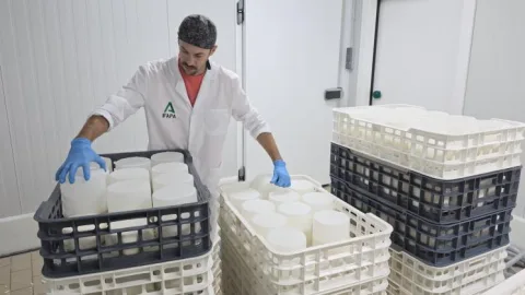 Image for the story: Students of Maestro Quesero 4.0 complete internships at cheese dairies in six countries and regions