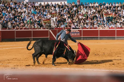 Imagen de la noticia: David de Miranda corta cuatro orejas y dos rabos en el festival de Trigueros ante una plaza llena