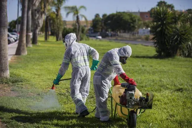Imagen de la noticia: Ayamonte pide extremar las precauciones tras detectarse un caso de virus del Nilo en un ave en Costa Esuri